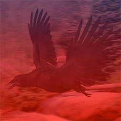 Red Crow
